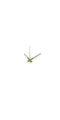 Gold Rectangular