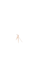 Rose Gold Arrows