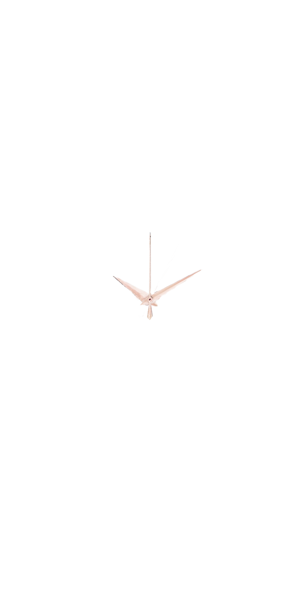 Rose Gold Arrows